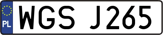 WGSJ265
