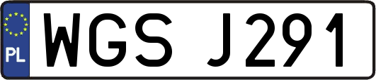 WGSJ291