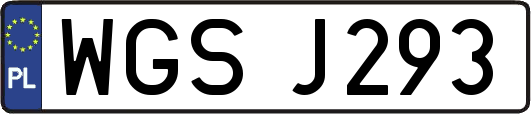 WGSJ293