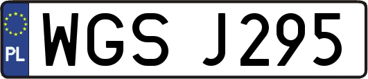 WGSJ295