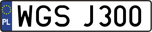 WGSJ300