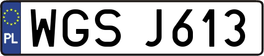 WGSJ613