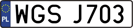 WGSJ703