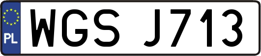 WGSJ713