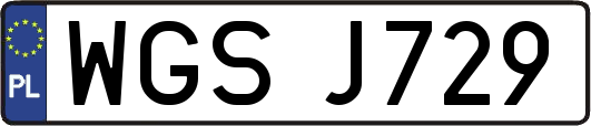 WGSJ729