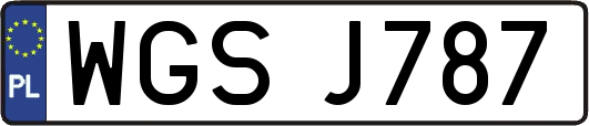 WGSJ787