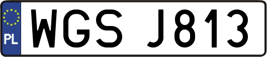 WGSJ813