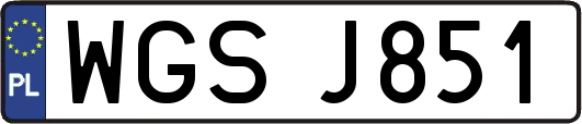 WGSJ851