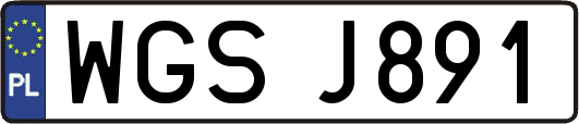 WGSJ891