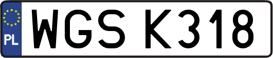 WGSK318