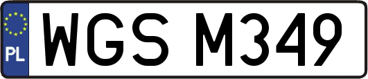 WGSM349