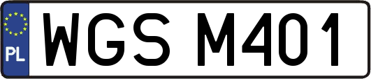 WGSM401