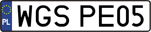 WGSPE05