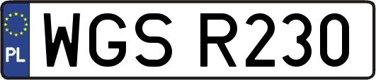 WGSR230