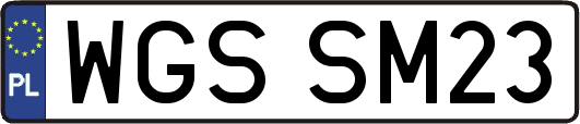 WGSSM23