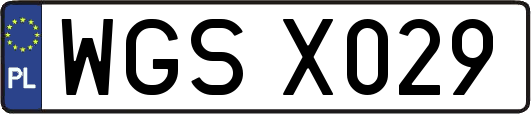 WGSX029