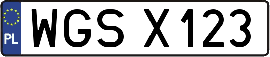 WGSX123