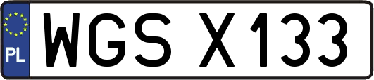 WGSX133