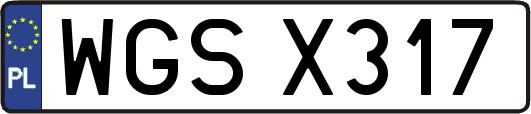WGSX317
