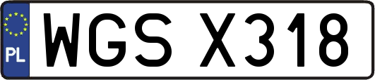 WGSX318