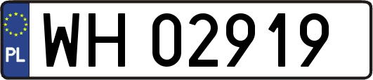 WH02919