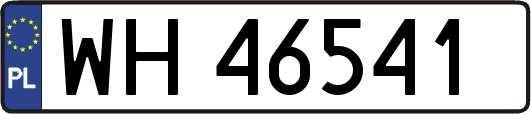 WH46541