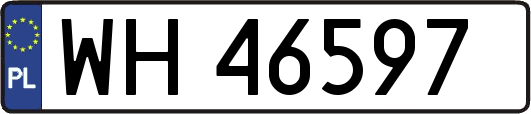 WH46597
