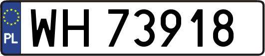 WH73918