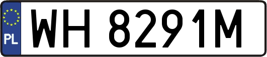 WH8291M