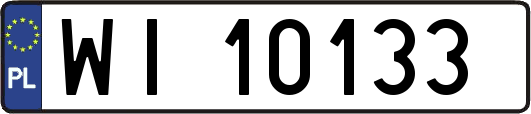 WI10133