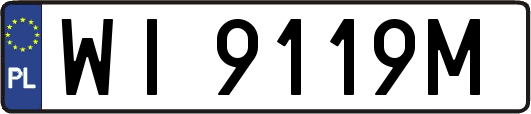 WI9119M