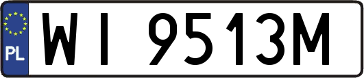WI9513M