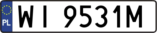 WI9531M