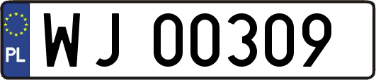 WJ00309