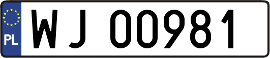WJ00981
