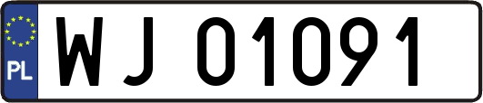 WJ01091
