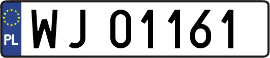 WJ01161