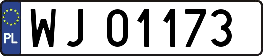 WJ01173