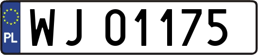 WJ01175