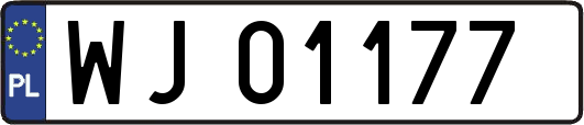 WJ01177