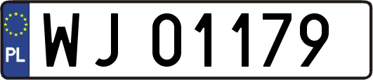 WJ01179
