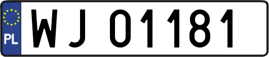 WJ01181