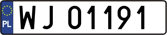 WJ01191