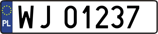 WJ01237
