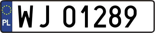 WJ01289