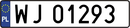 WJ01293