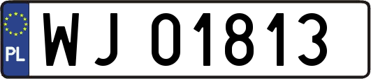WJ01813