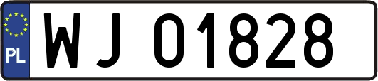 WJ01828