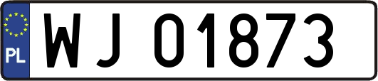 WJ01873