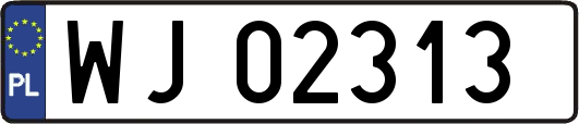 WJ02313